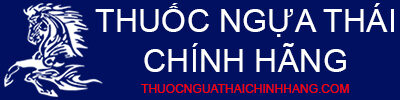 thuocnguathaichinhhang.com